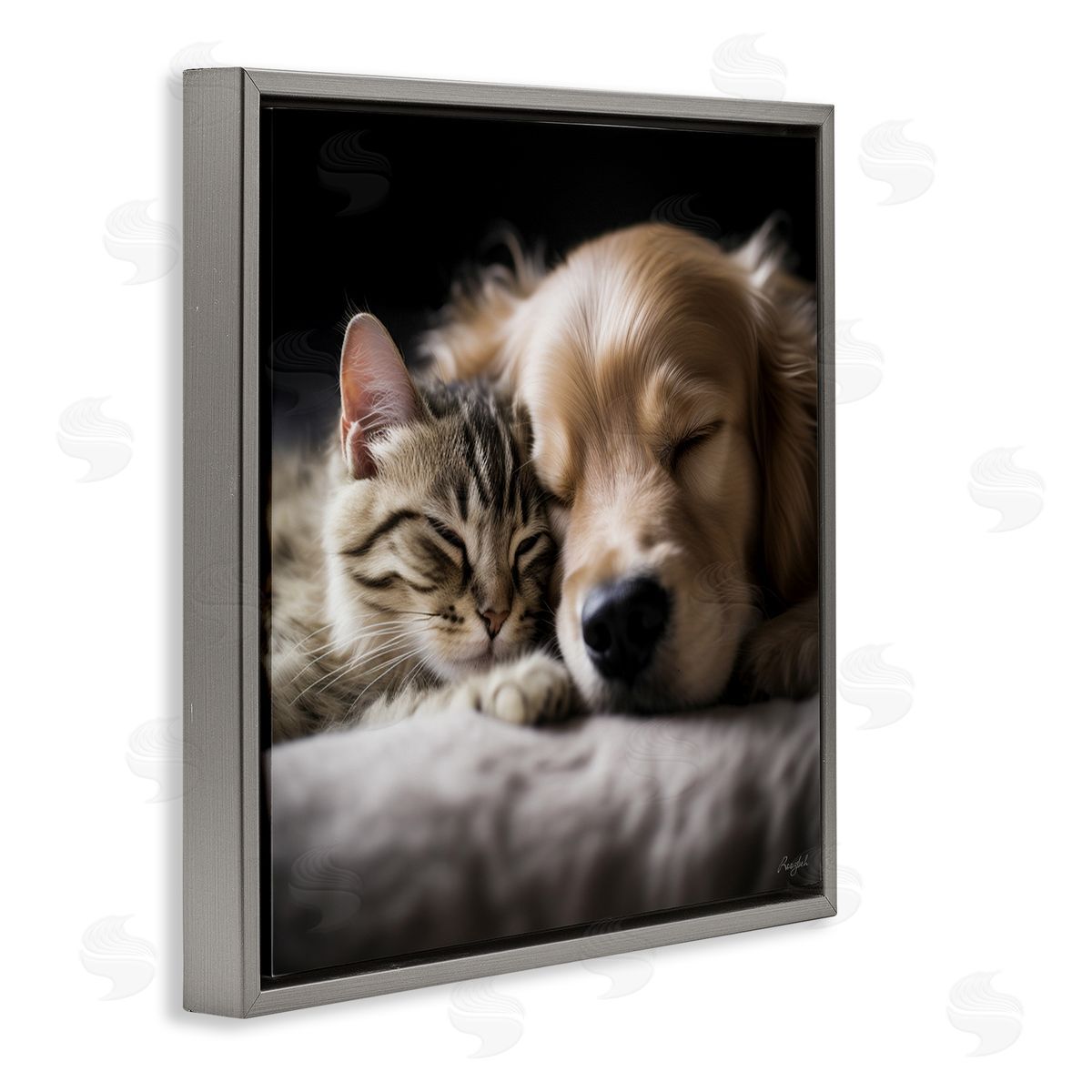 Roozbeh Cat & Dog Photography Gray Floater Frame Canvas Artside_