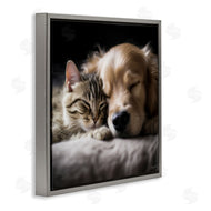 Roozbeh | Cat & Dog Photography