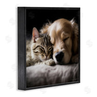 Roozbeh | Cat & Dog Photography