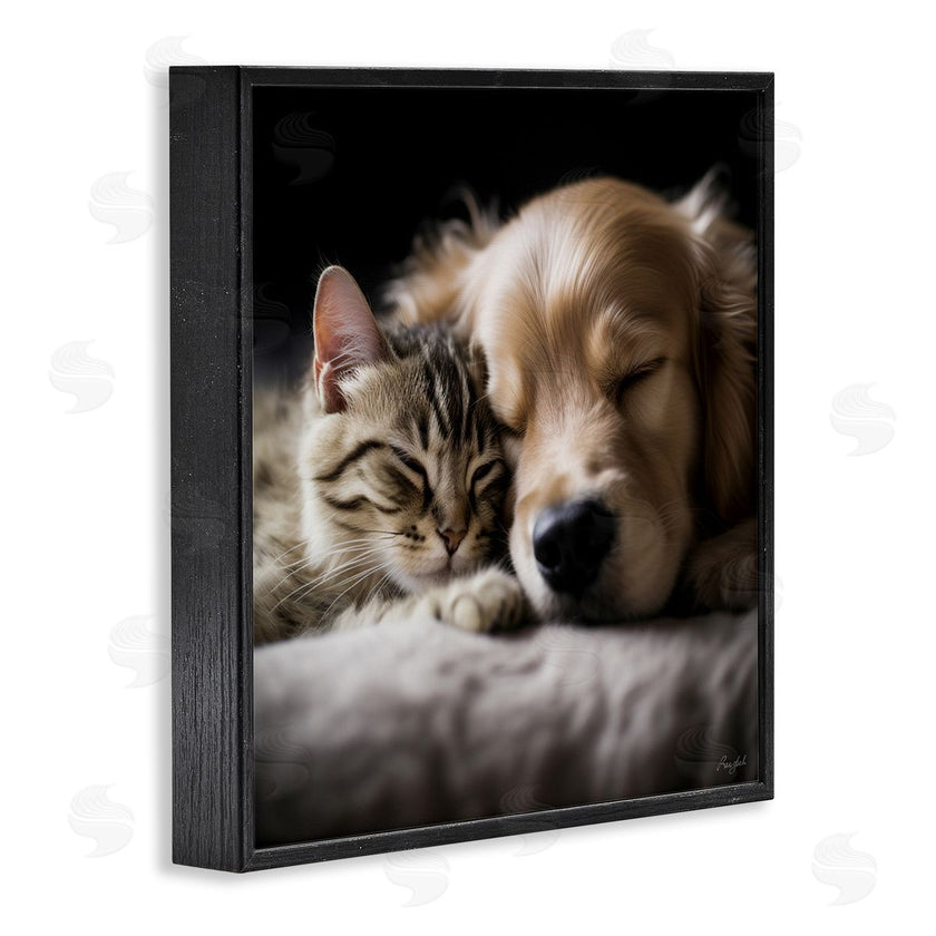 Roozbeh | Cat & Dog Photography