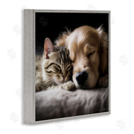 Roozbeh | Cat & Dog Photography