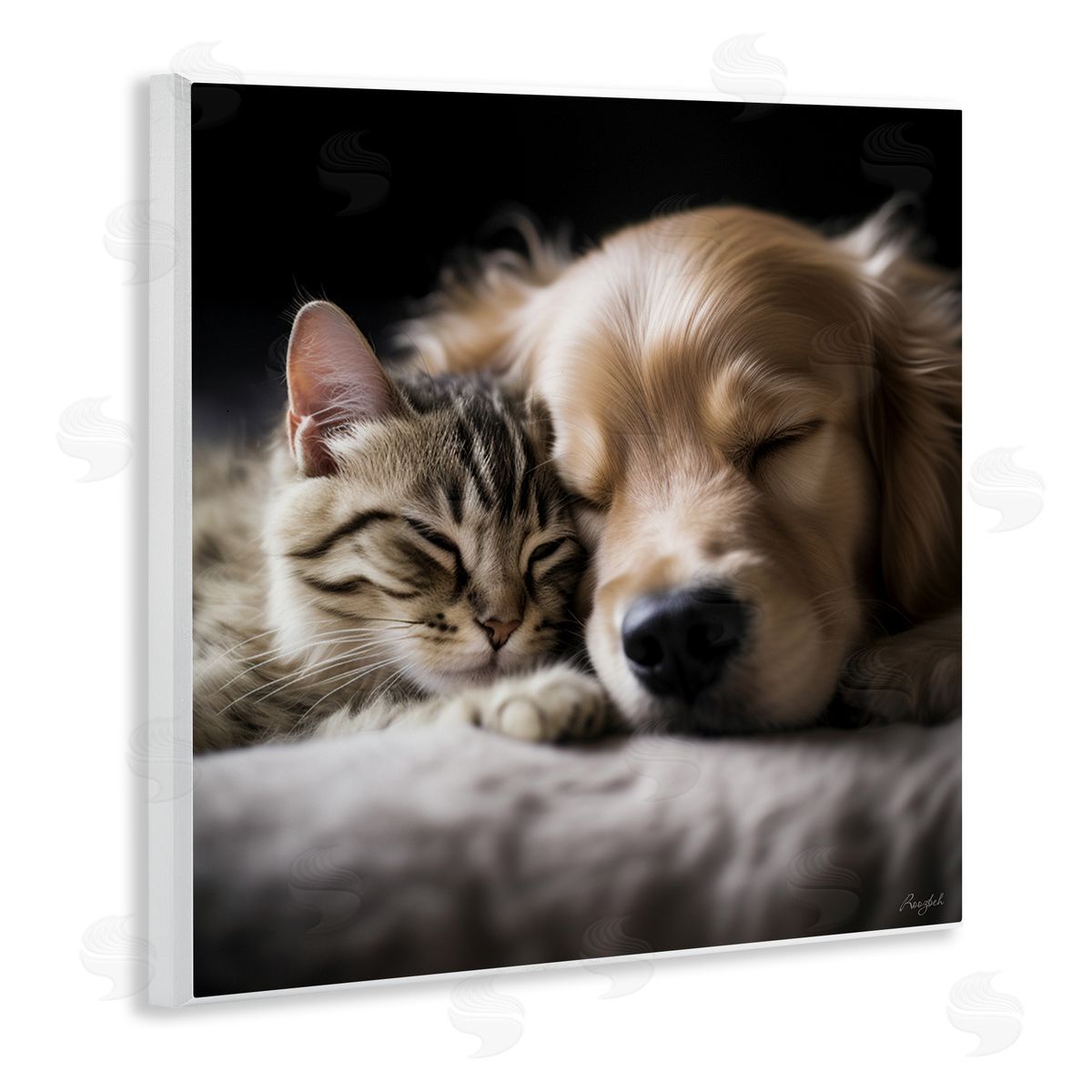 Roozbeh | Cat & Dog Photography