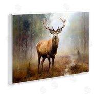 Ray Powers | Deer Woodland Trees
