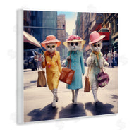 Ray Powers | Trendy Cat Trio