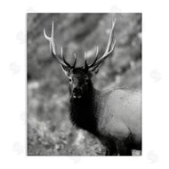 Daniel Sproul | Grey Elk Photography
