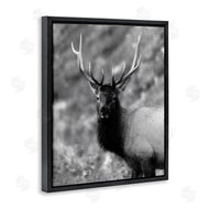 Daniel Sproul | Grey Elk Photography