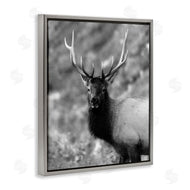 Daniel Sproul | Grey Elk Photography