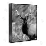 Daniel Sproul | Grey Elk Photography