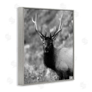 Daniel Sproul | Grey Elk Photography