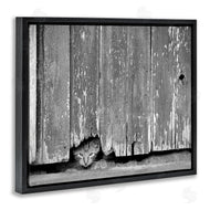 Steve Toole | Rustic Cat Peeking