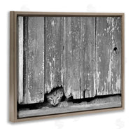 Steve Toole | Rustic Cat Peeking