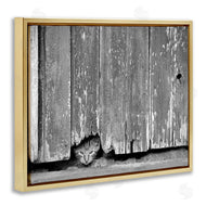 Steve Toole | Rustic Cat Peeking