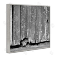 Steve Toole | Rustic Cat Peeking