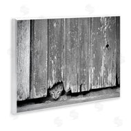 Steve Toole | Rustic Cat Peeking