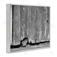 Steve Toole | Rustic Cat Peeking