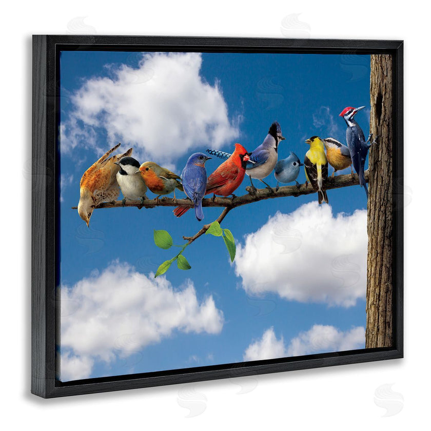 Vincent Hie | Various Birds on Branch
