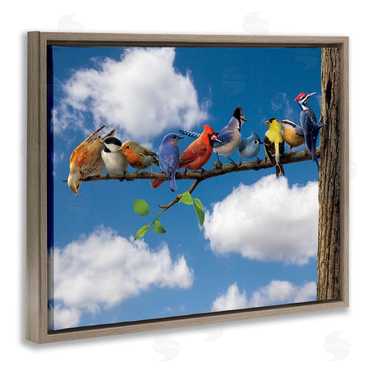 Vincent Hie Various Birds on Branch Brown Floater Frame Canvas Artside_