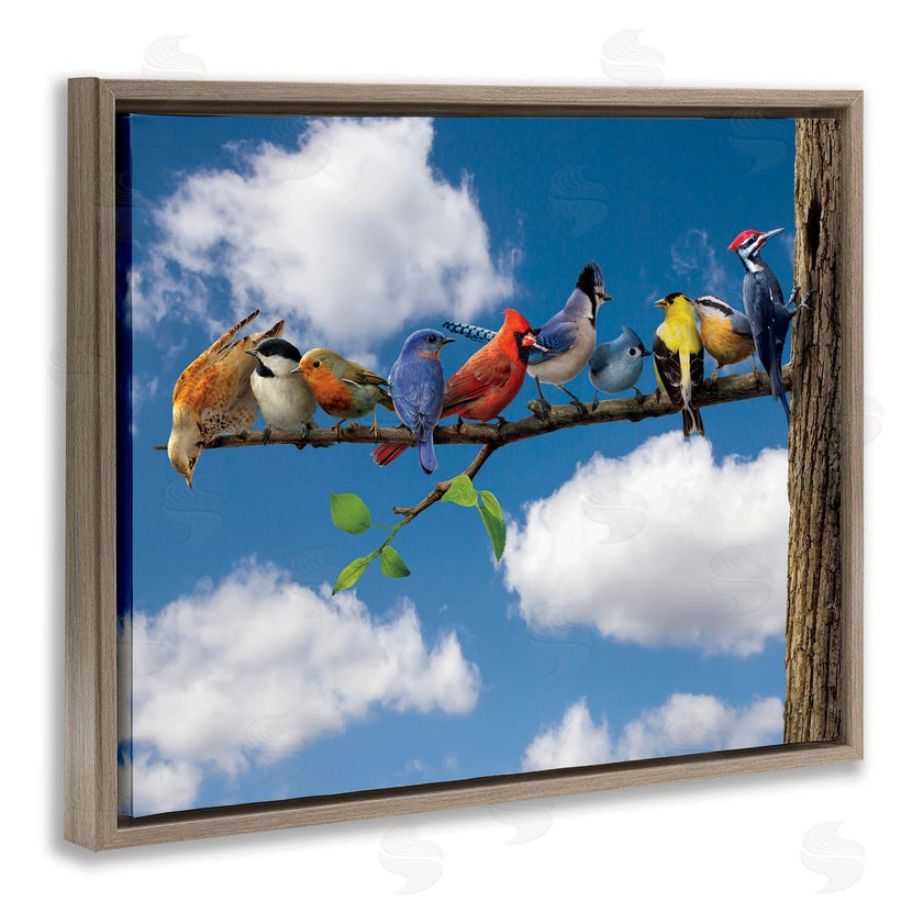 Vincent Hie | Various Birds on Branch