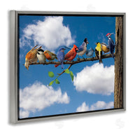 Vincent Hie | Various Birds on Branch