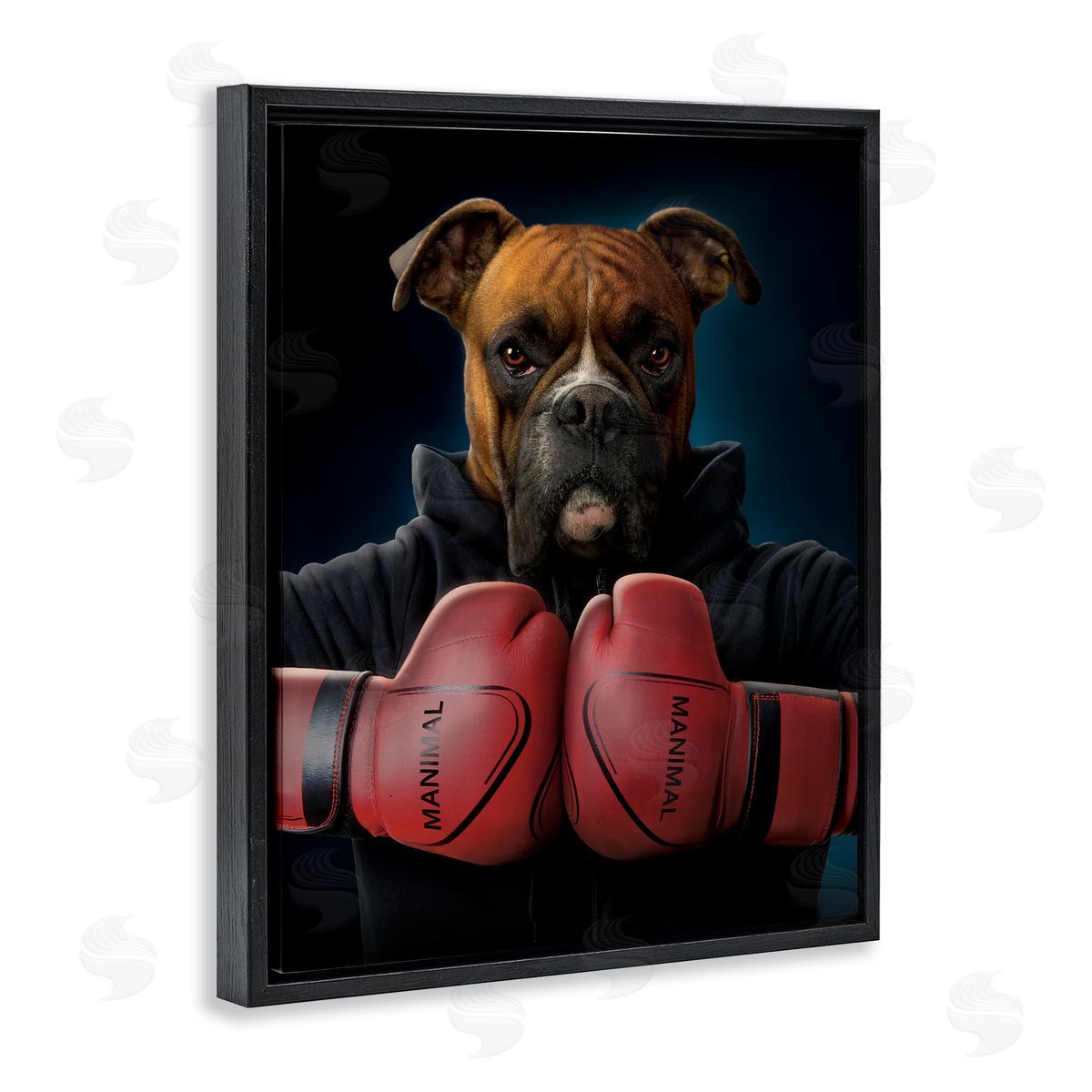 Vincent Hie | Boxing Boxer Dog