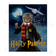 Vincent Hie | Hairy Pawter Cat Wizard