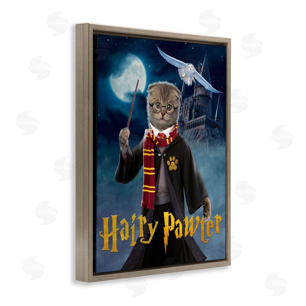 Vincent Hie | Hairy Pawter Cat Wizard