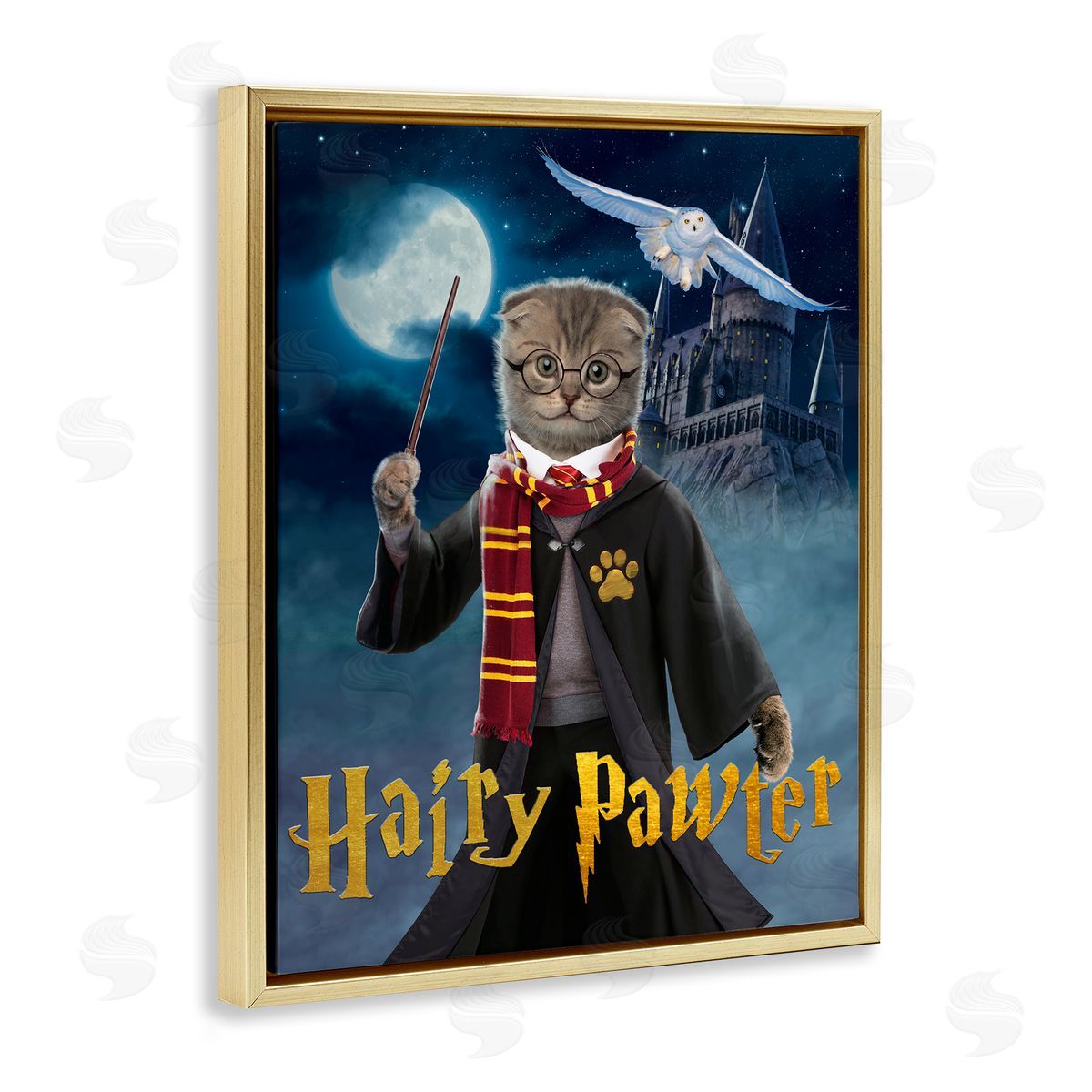 Vincent Hie | Hairy Pawter Cat Wizard