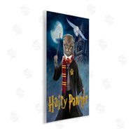 Vincent Hie | Hairy Pawter Cat Wizard