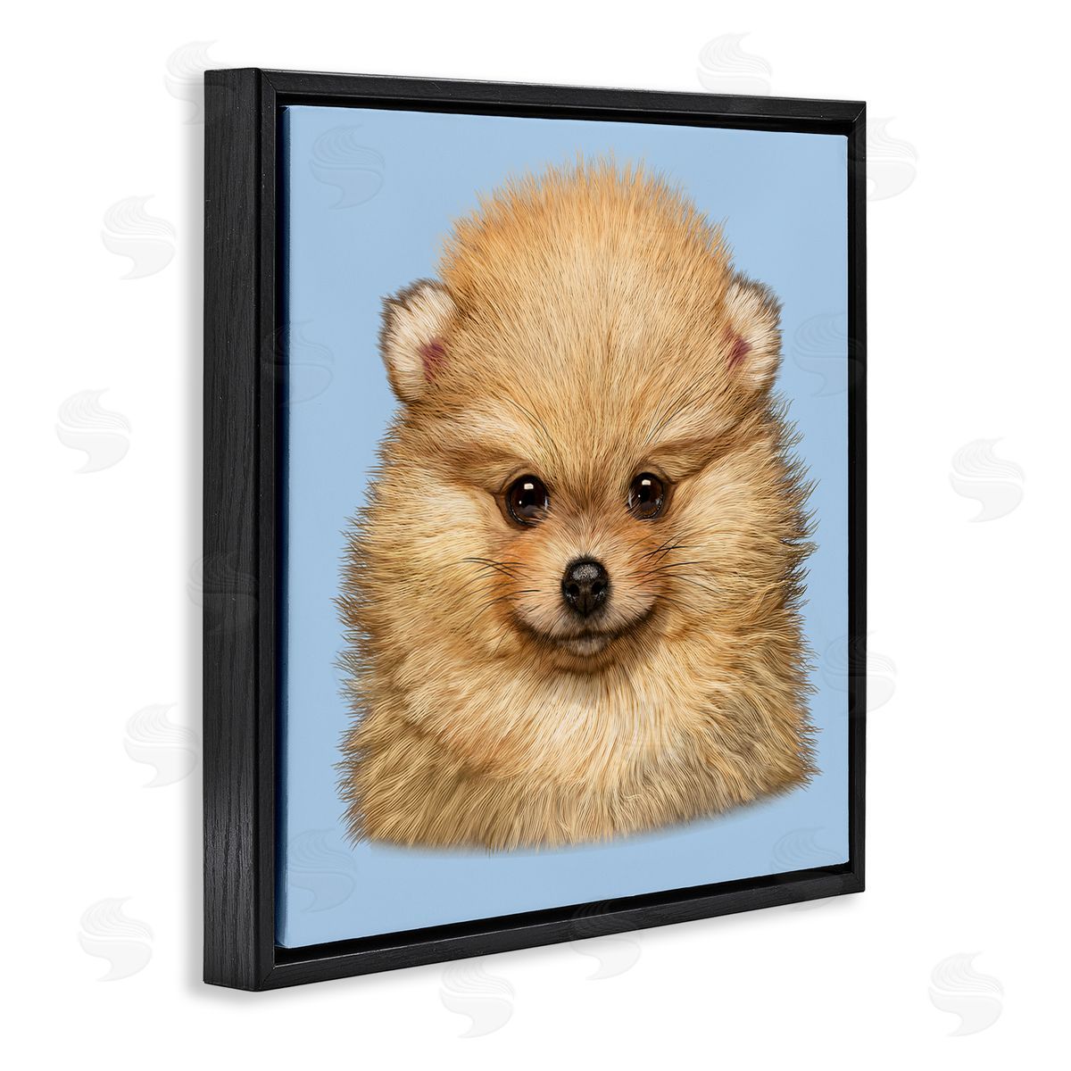 Vincent Hie | Pomeranian Face on Blue