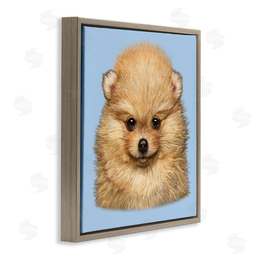 Vincent Hie | Pomeranian Face on Blue