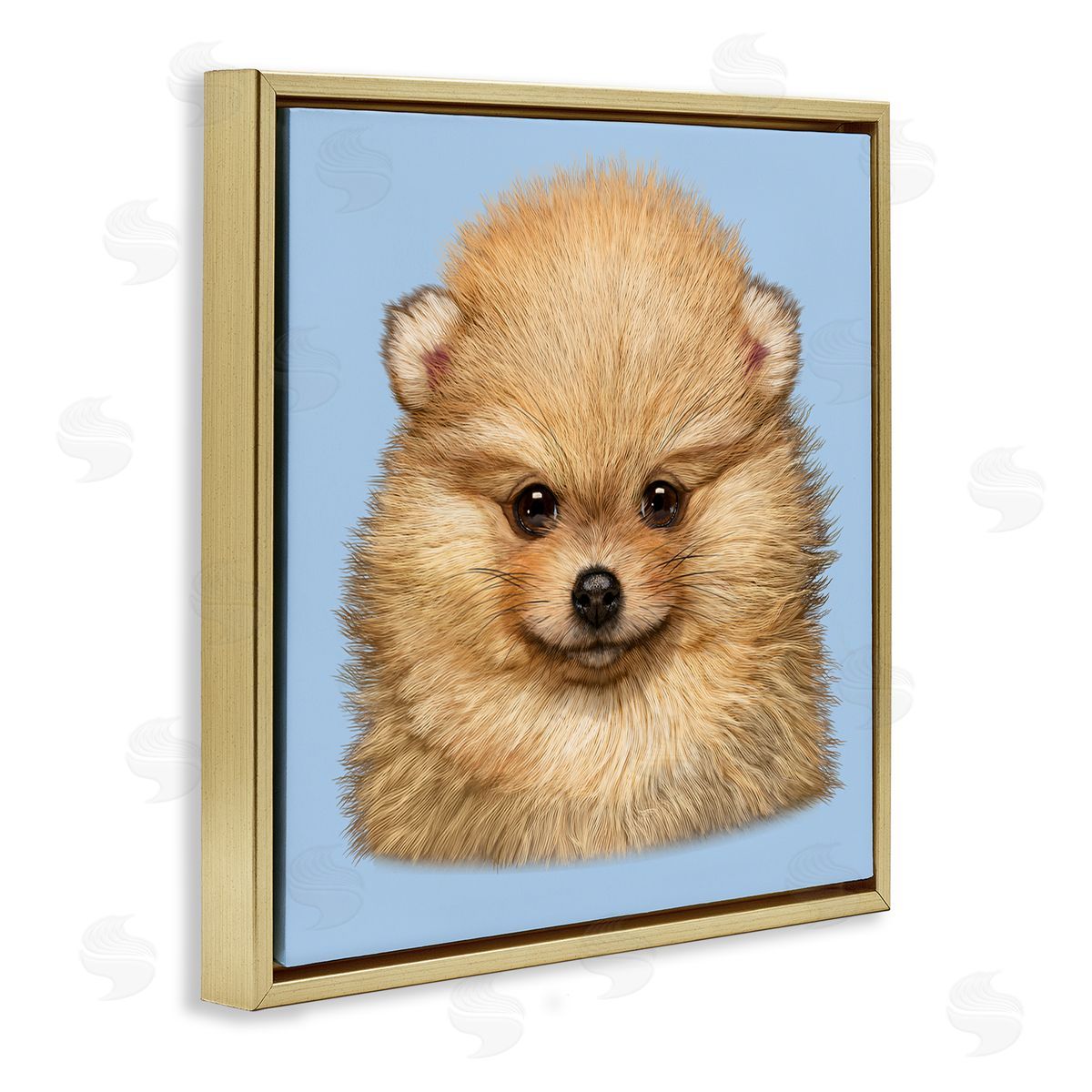 Vincent Hie | Pomeranian Face on Blue
