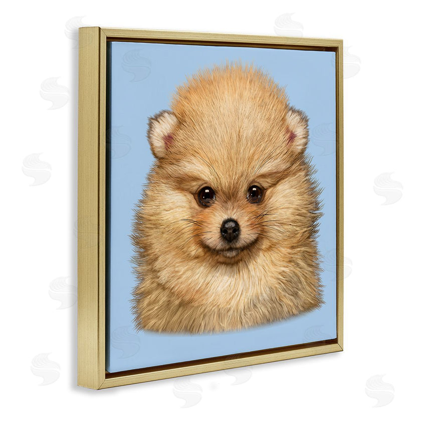 Vincent Hie | Pomeranian Face on Blue