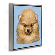 Vincent Hie | Pomeranian Face on Blue