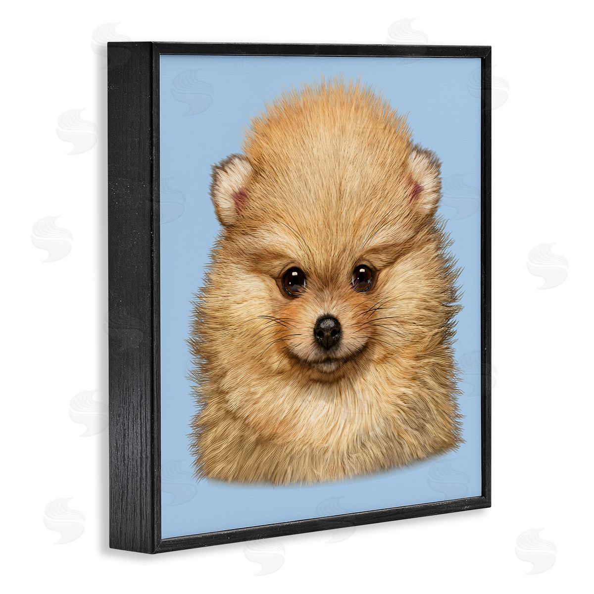 Vincent Hie | Pomeranian Face on Blue