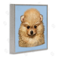 Vincent Hie | Pomeranian Face on Blue