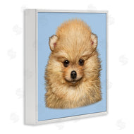 Vincent Hie | Pomeranian Face on Blue