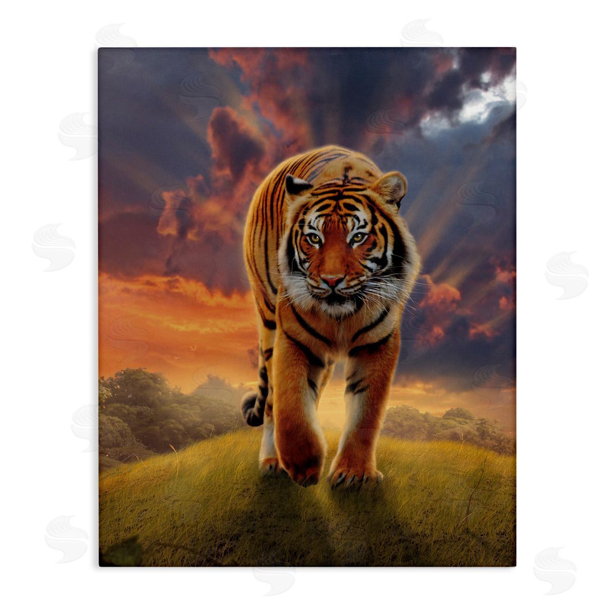 Vincent Hie Rising Tiger Sunset Canvas Wall Art