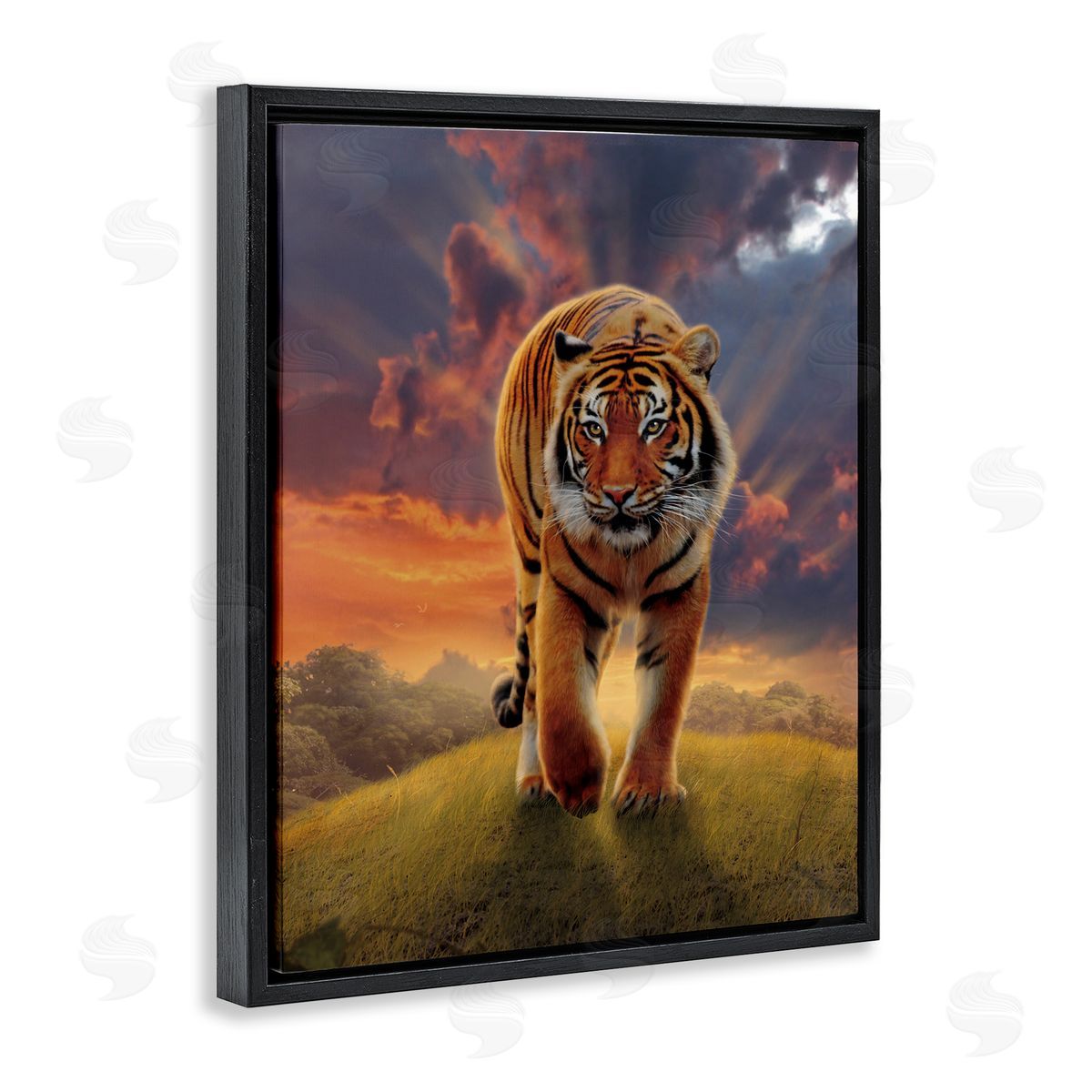 Vincent Hie Rising Tiger Sunset Black Floater Frame Canvas Artside_