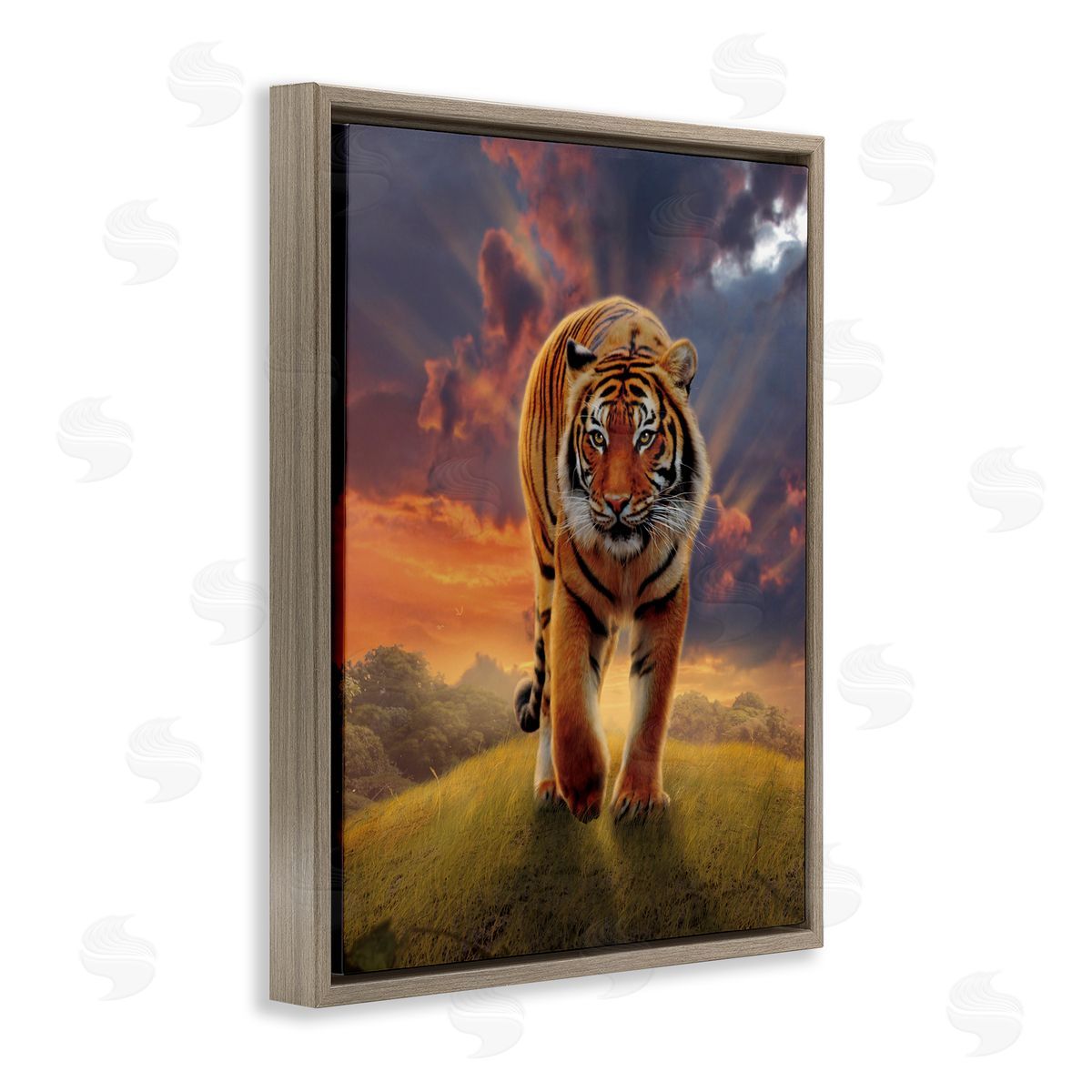 Vincent Hie | Rising Tiger Sunset