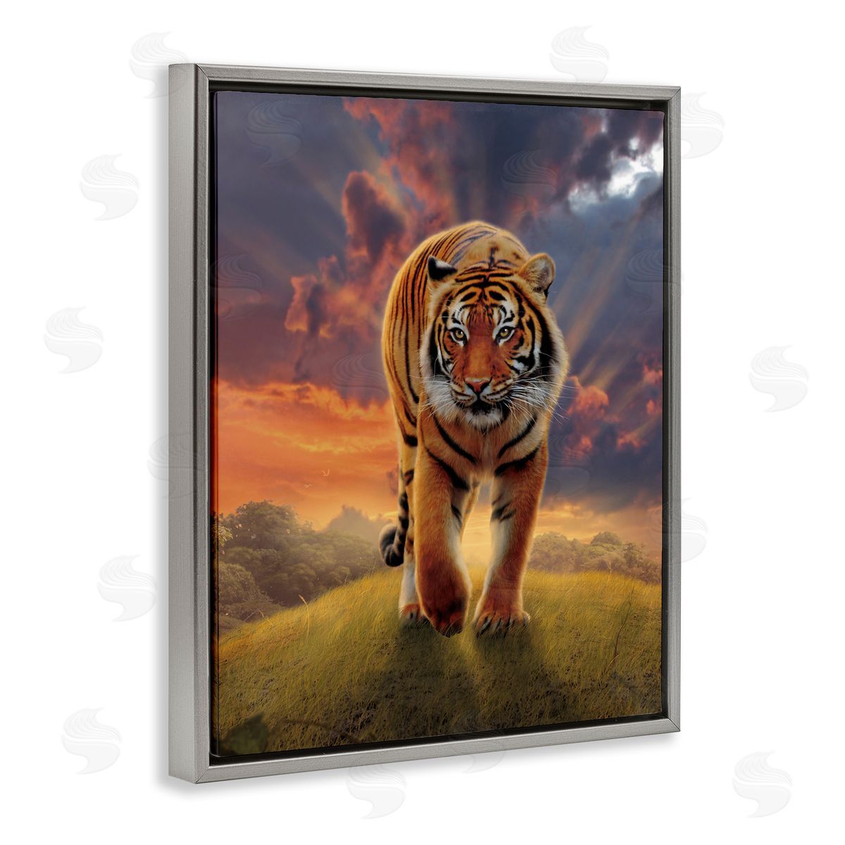 Vincent Hie | Rising Tiger Sunset