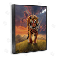 Vincent Hie | Rising Tiger Sunset