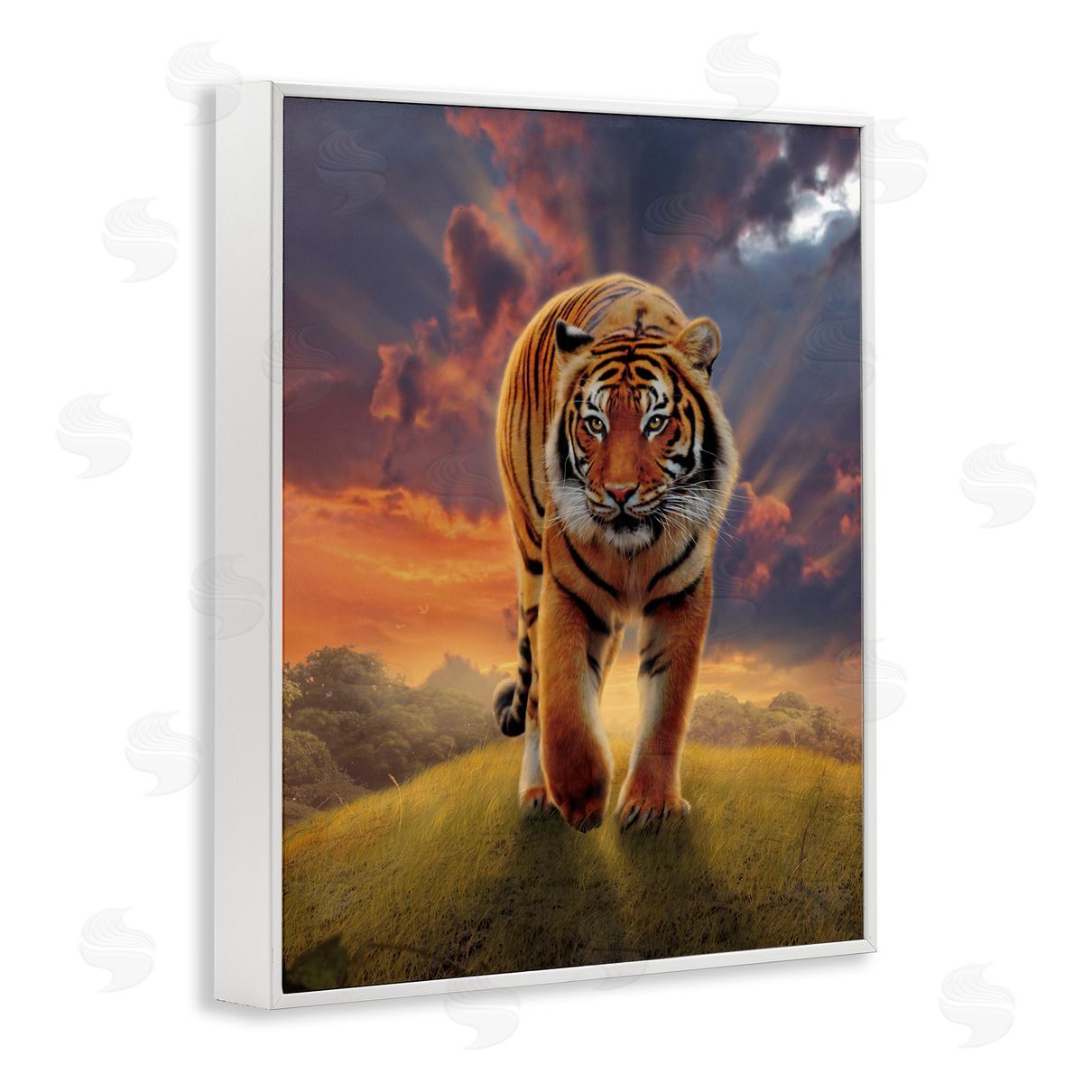 Vincent Hie | Rising Tiger Sunset