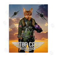 Vincent Hie | Cat Pilot & Aircraft