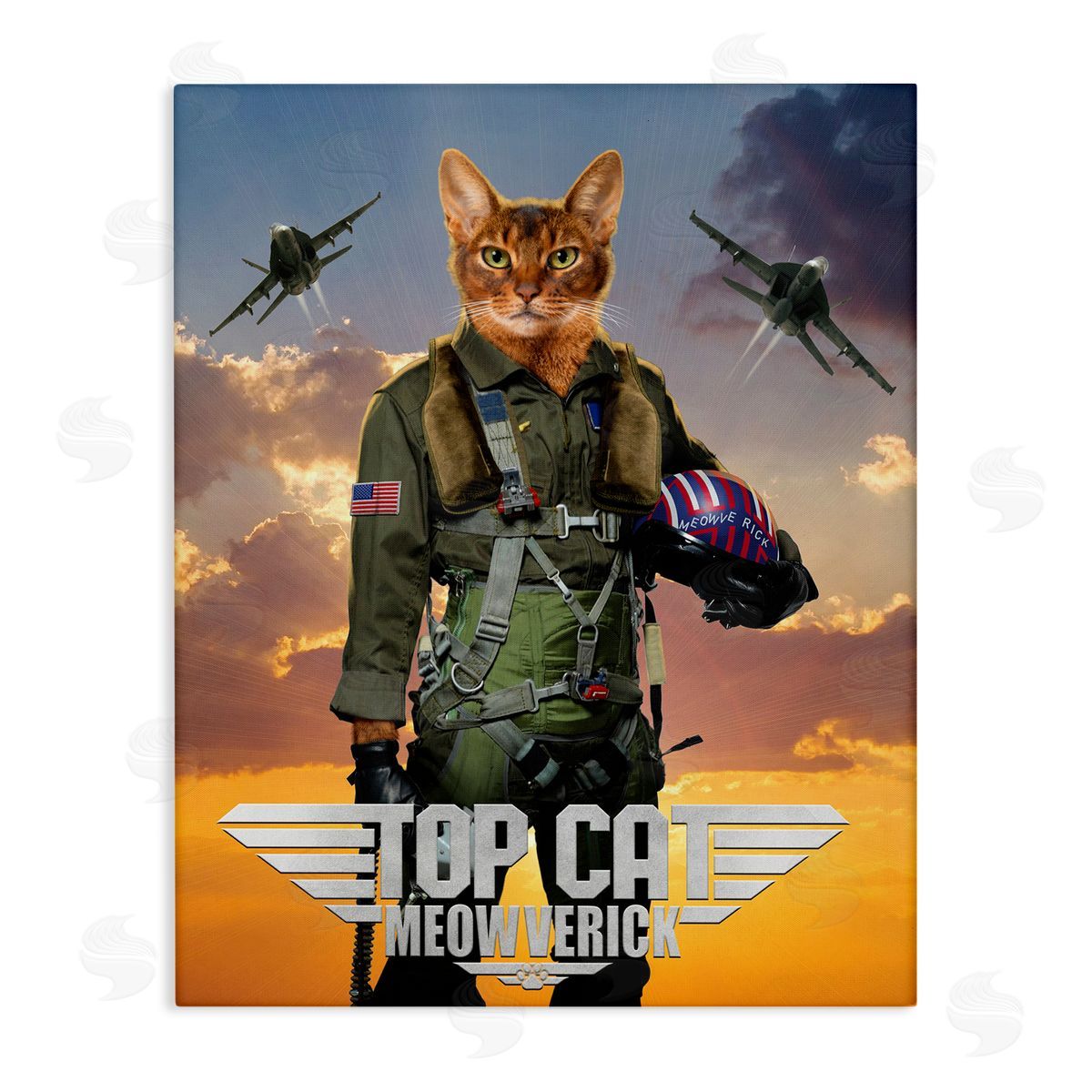 Vincent Hie | Cat Pilot & Aircraft