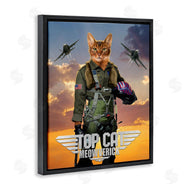 Vincent Hie | Cat Pilot & Aircraft
