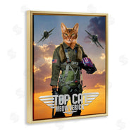 Vincent Hie | Cat Pilot & Aircraft