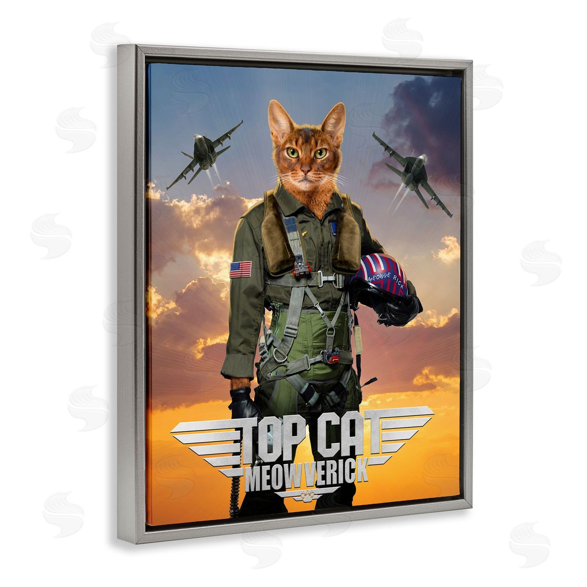 Vincent Hie | Cat Pilot & Aircraft