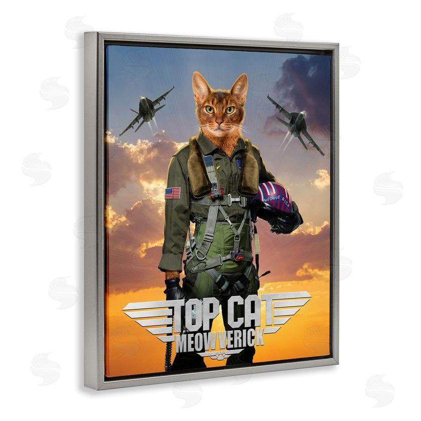 Vincent Hie | Cat Pilot & Aircraft