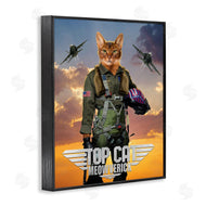 Vincent Hie | Cat Pilot & Aircraft