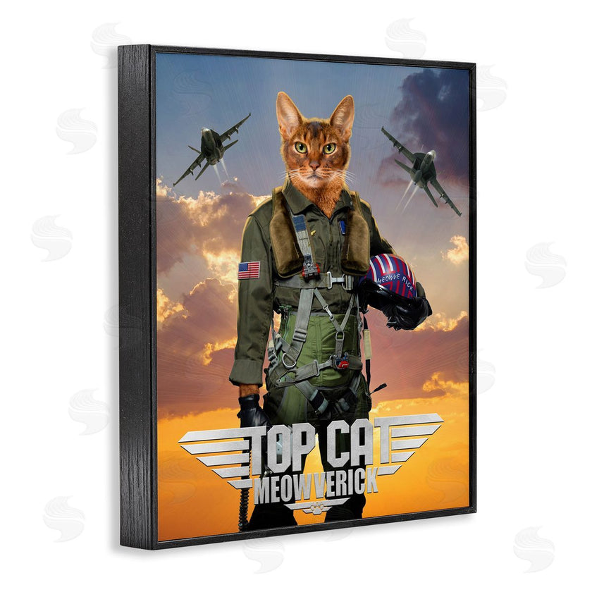 Vincent Hie | Cat Pilot & Aircraft